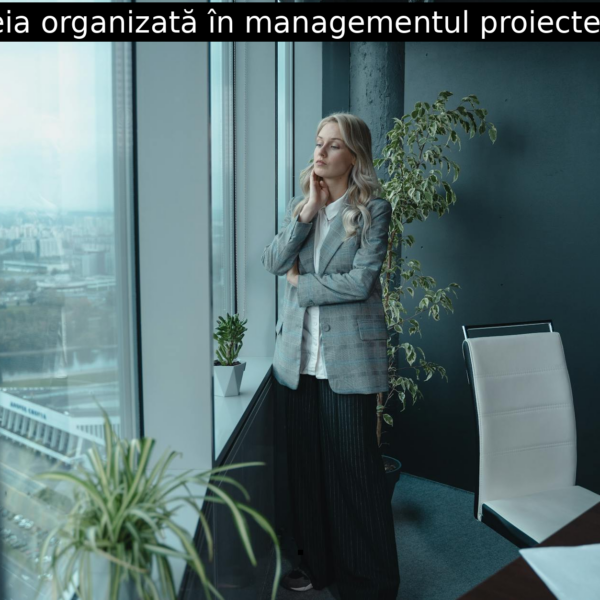 Femeia organizată în managementul proiectelor IT