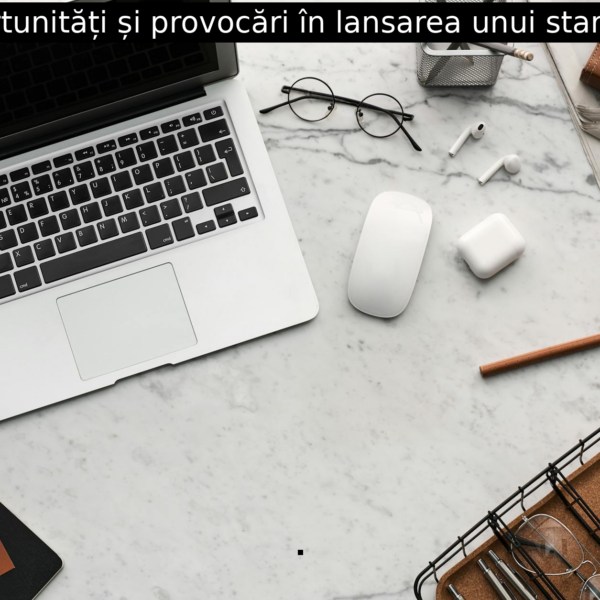 Oportunități și provocări în lansarea unui start-up.