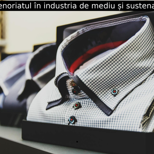 Antreprenoriatul în industria de mediu și sustenabilitate.