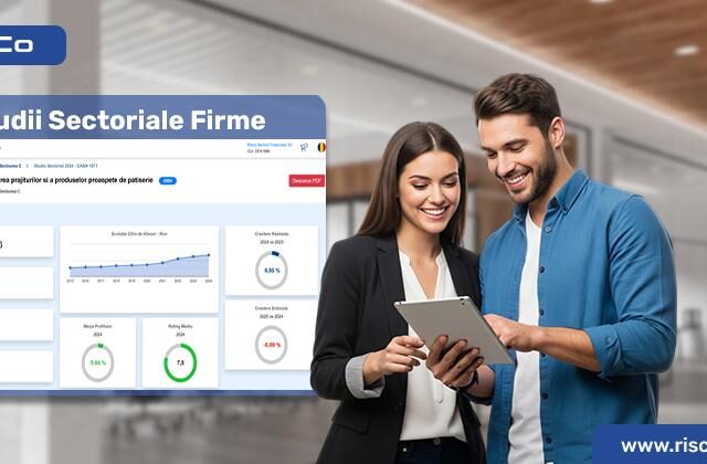 Studiile Sectoriale – instrument de analiză pentru consolidarea strategiei în business